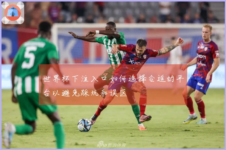 世界杯下注入口如何选择合适的平台以避免踩坑和误区
