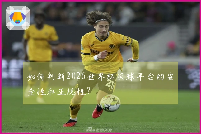 如何判断2026世界杯买球平台的安全性和正规性？